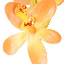 Produkt Sztuczna gałązka orchidei 8 kwiatów pomarańczowa dł. 38 cm 2 szt.