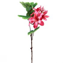 Produkt Sztuczna gałązka storczyka Bauhinia Różowa sztuczna roślina 62cm