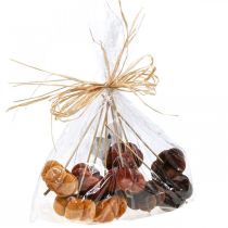 Produkt Korek dekoracyjny dyniowy Deco pomarańczowy, brązowy miękki Ø6,5m 9 szt