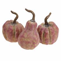 Produkt Mini zestaw dyni pomarańczowy, liliowy Ø6,5–7cm 6 sztuk