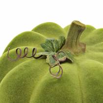 Produkt Dekoracyjna dynia flokowana Moss Green 32cm