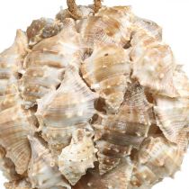 Kula dekoracyjna muszle ślimaków muszle dekoracyjne wiszące natura Ø12cm