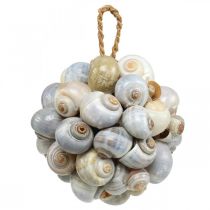 Morska kula dekoracyjna muszla ślimaka morskiego kula naturalna dekoracja Ø12cm