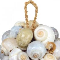 Morska kula dekoracyjna muszla ślimaka morskiego kula naturalna dekoracja Ø12cm