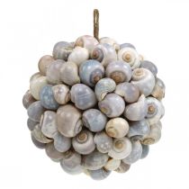 Produkt Kula dekoracyjna ślimaki morskie muszla kula naturalna dekoracja morska Ø19cm