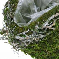 Dekoracja grobu kula winorośl Moss Green, White Washed Ø20cm