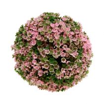 Produkt Dekoracyjna kula różowa zielona roślina kulkowa Ø15cm 1szt