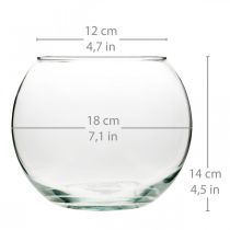 Produkt Wazon kulowy Wazon szklany przezroczysty okrągły wazon stołowy wazon na kwiaty Ø18cm W14cm