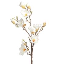 Produkt Sztuczny Kwiat Magnolia Gałązka Kwiaty Ø2–10cm Kremowy Dł. 105cm