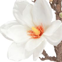 Produkt Sztuczny Kwiat Magnolia Gałązka Kwiaty Ø2–10cm Kremowy Dł. 105cm