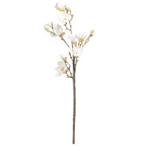 Produkt Sztuczny Kwiat Magnolia Gałązka Kwiaty Ø2–10cm Kremowy Dł. 105cm