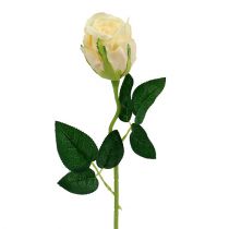 Kwiaty sztuczne Róża kremowa Ø6cm L50cm 6szt.
