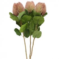 Sztuczne Kwiaty, Banksia, Proteaceae Biało-Fioletowy D58cm W6cm
