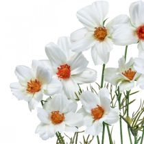 Produkt Kwiaty sztuczne Cosmea białe kwiaty jedwabne W51cm 3 szt