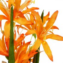 Sztuczne kwiaty Nerine Orange Guernsey Lilie Jesienne Kwiaty 48cm