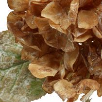 Sztuczna hortensja wyschnięta Drylook jesienna dekoracja L33cm