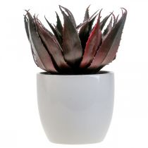 Produkt Sztuczna roślina Aloe Vera w doniczce Roślina dekoracyjna zielona W20cm