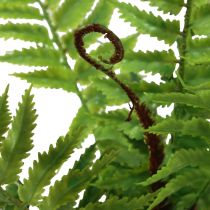 Produkt Sztuczna roślina Sztuczna paproć Ozdobne liście paproci Zielone 40,5 cm