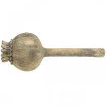 Produkt Dekoracja ze sztucznego kamienia mak dekoracja antyczna brąz Ø13cm dł.37,5cm