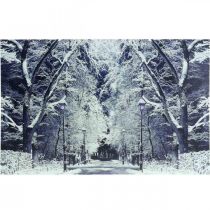Obraz LED park krajobrazowy zimowy z lampionami Fototapeta LED 58x38cm