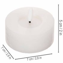 Produkt Podgrzewacze LED XL, biały, prawdziwy wosk, z timerem, ciepła biel, 6 cm, 2 szt.