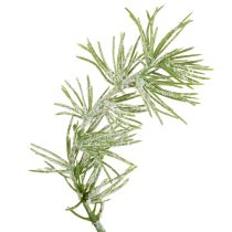 Produkt Dekoracyjna girlanda modrzewiowa do aranżacji nastrojowego wnętrza, 250 cm