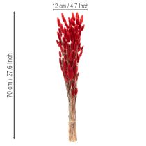 Produkt Suszony bukiet Lagurus, dekoracja z suszonych kwiatów, 70cm, 100g