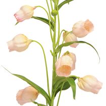 Produkt Latarnia Lilia Sztuczny Kwiat Lilia Morela 90cm 2szt