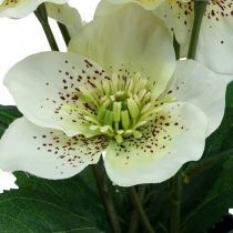 Wielkopostna róża Hellebore Świąteczna doniczka na róże sztuczne kwiaty wys.25cm biała