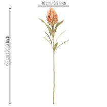 Produkt Sztuczny kwiat Protea Leucadendron na długiej łodydze, 65 cm, 3 sztuki