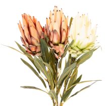 Produkt Sztuczny kwiat Protea Leucadendron na długiej łodydze, 65 cm, 3 sztuki