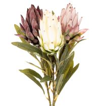 Produkt Kwiat sztuczny protea Leucadendron 100cm 3szt