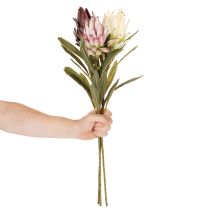 Produkt Kwiat sztuczny protea Leucadendron 100cm 3szt