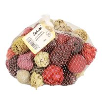 Produkt Szyszki Leucadendron Bellgum Zielony Czerwony Żółty Matowy 300g