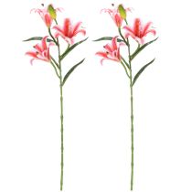 Produkt Sztuczna lilia do stylowej dekoracji salonu i realistycznego wyglądu, 67 cm, 2 sztuki