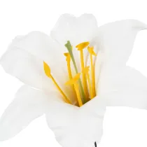 Produkt Sztuczny kwiat lilii, biały, na drucie, średni, 35 cm, 5 sztuk