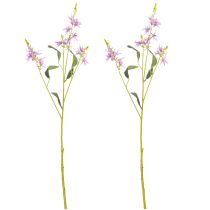 Produkt Sztuczny kwiat Triteleia do eleganckiej dekoracji kwiatowej w pomieszczeniach mieszkalnych, 110 cm, 2 sztuki