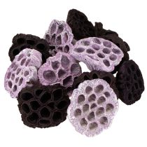 Produkt Lotus Mix Pink, Erika Ø6cm - Ø10cm 50 szt.