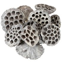 Produkt Lotos Naturalna dekoracyjna butelka z lotosem, biała, myta, 6-8 cm, 50 szt.