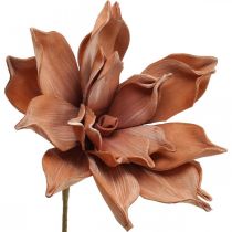 Kwiat lotosu Sztuczna roślina Sztuczny kwiat lotosu Brązowy L64cm