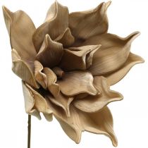 Kwiat lotosu, dekoracja z kwiatu lotosu, sztuczna roślina beżowa L66cm