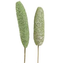 Produkt Luffa duża na patyku zielona 25 szt