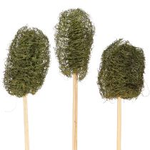 Produkt Luffa mała na patyku gąbka ogórek ciemnozielony 5-7cm 25 szt