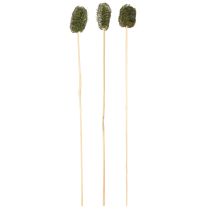 Produkt Luffa mała na patyku gąbka ogórek ciemnozielony 5-7cm 25 szt