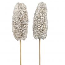 Produkt Luffa mała na patyku biała myta 25 szt