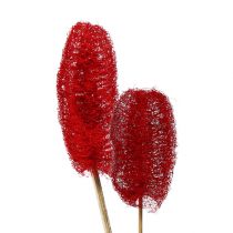 Produkt Luffa duża na patyku czerwona 25 szt