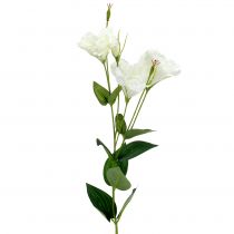 Produkt Sztuczny kwiat Lysianthus biały L87,5 cm