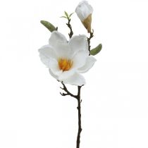 Produkt Magnolia biały sztuczny kwiat z pąkami na ozdobnej gałązce W40cm