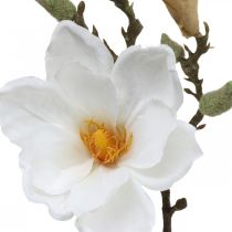 Produkt Magnolia biały sztuczny kwiat z pąkami na ozdobnej gałązce W40cm