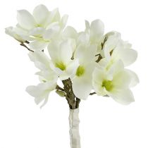 Magnolia wiązanka biała 40cm 5szt